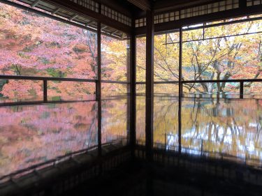 「瑠璃光院」の書院の机に写る絢爛たる紅葉美