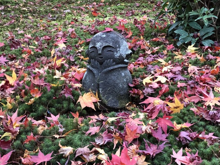 【海外配送可】【送料無料】 掛け軸 渡辺章雄 （徳川家康公ゆかりの古寺「圓光寺 円光寺紅葉 絵画